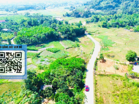 Bán Đất Xuân Thủy Yên Lập – Bám Đường Bê Tông 20m – 100m² Thổ Cư   S=599,8m²