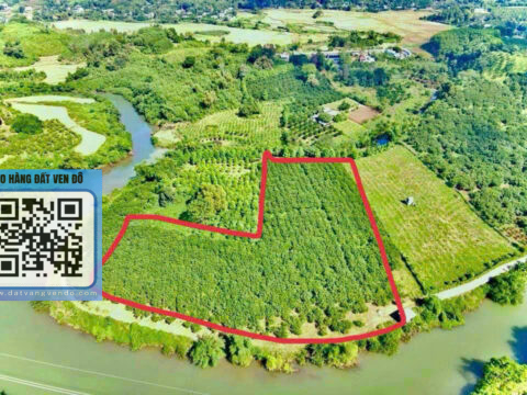 Bán Đất Nghỉ Dưỡng Ngọc Mỹ Tân Lạc – (1.996m² Thổ Cư) – Bám Sông Lớn S= 8.742m²