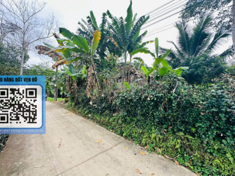 Bán Đất Thôn Cáp Cao Dương – Thổ Cư Lâu Dài – Ô Tô Vào Tận Nơi – Sổ Đỏ Sẵn!   S=384m²