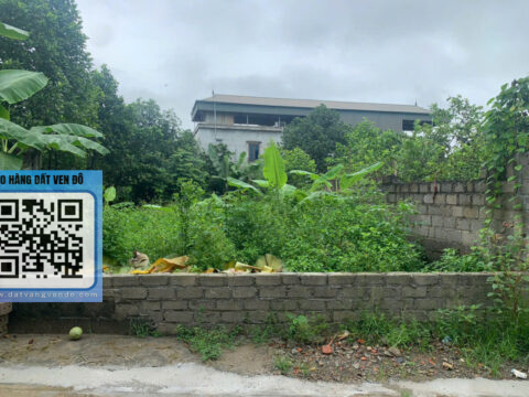 Bán Đất An Tiến Mỹ Đức – Mặt Tiền 6m – Bám Trục Liên Thôn Ô Tô Tránh!  S=100m²