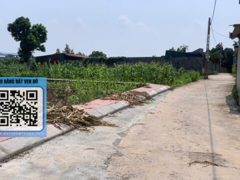 Bán Đất Giáp Bốn Tuy Lai – 2 Mặt Thoáng – Gần Hồ Sinh Thái!   S=81m²