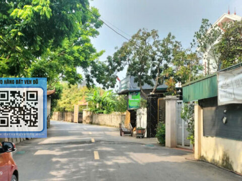 Bán Đất Phương Bản Phụng Châu – Chương Mỹ – Ngõ Thông Ô Tô – Sổ Đỏ Sẵn!  S=63,6m²