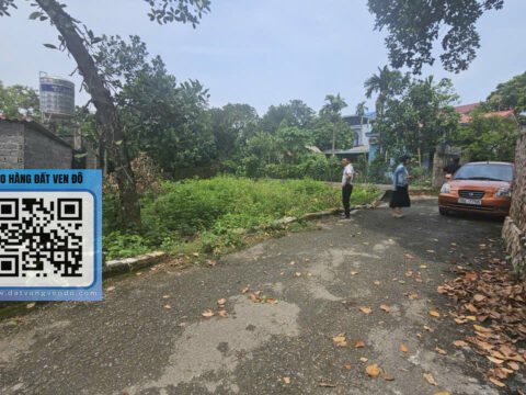 Bán Đất Văn Sơn Hoàng Văn Thụ – 100m² Thổ Cư – Đường 6m Ô Tô Tránh! S=300m²