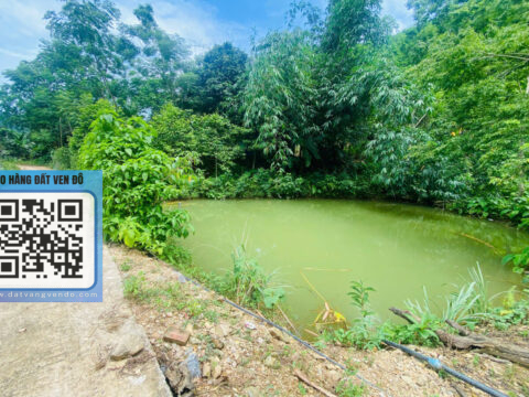 Bán Đất Đà Bắc – 400m² Thổ Cư – Bám Đường Bê Tông 60m – Có Ao Cá, Vườn Cây!   S=1900m²