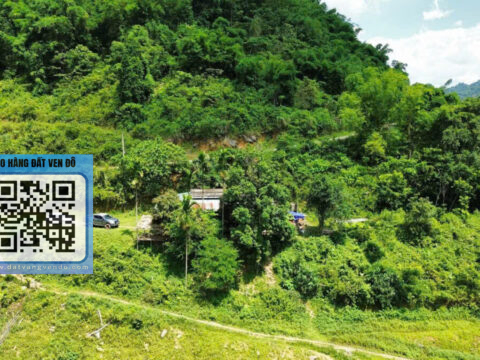 Bán Đất Hiền Lương Đà Bắc – 175m² Thổ Cư – Bám Hồ 50m – View Cực Đẹp!  S=531.5m²