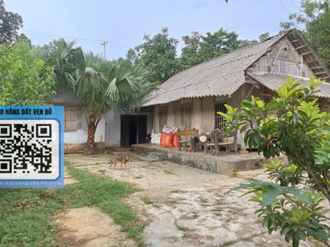 Bán Đất Tu Lý Đà Bắc – 400m² Thổ Cư – Khuôn Viên Ao Cá, Vườn Cây  S=1452m²!