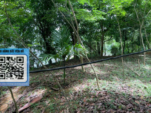 Bán Đất Bám Hồ Hòa Bình – Vầy Nưa Đà Bắc – 100m² Thổ Cư – View Cực Thoáng!   S=4132m²