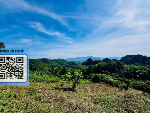 Bán Đất Nghỉ Dưỡng Hiền Lương Đà Bắc – 400m² Thổ Cư – Gần Hồ Hòa Bình!  S=8000m²