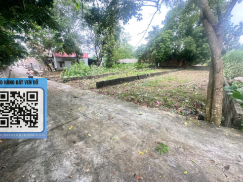 Bán đất thổ cư thôn Đông Nam – Vị trí đẹp, Giá rẻ – S=97,5m²