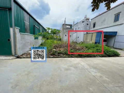 Bán đất nền Phú Nghĩa Chương Mỹ, vuông đẹp, giá tốt S=50m2