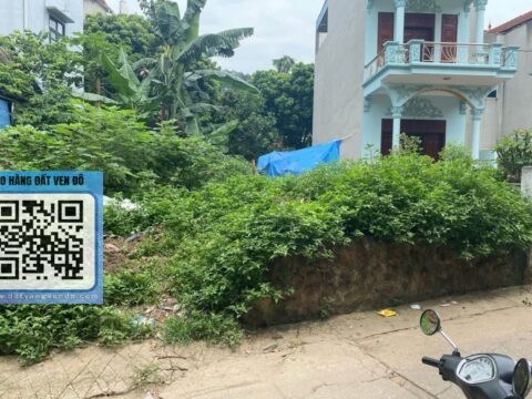 Bán lô đất thổ cư Ninh Sơn – Chúc Sơn – Chương Mỹ – S=246m²