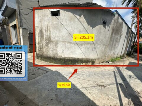 Bán đất thổ cư Phú Nghĩa – Lô góc đẹp – Full thổ cư – Giá tốt S=205,3m