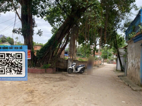 Bán đất Đông Phương Yên Chương Mỹ, Hà Nội , lô góc 3 mặt tiền S=1.059m²