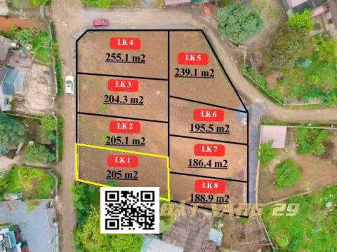Bán đất Phân Lô Thành Lập Lương Sơn – Đường thông giá rẻ,dân cư đông đúc LK1  S= 205m2