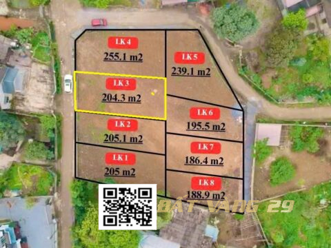 Bán đất Phân Lô Thành Lập Lương Sơn – Vị Trí đẹp – LK3 S= 204.3m2