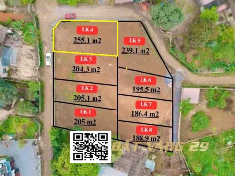 Bán đất Phân Lô Thành Lập Lương Sơn – dân cư đông đúc LK4 S= 255.1m2