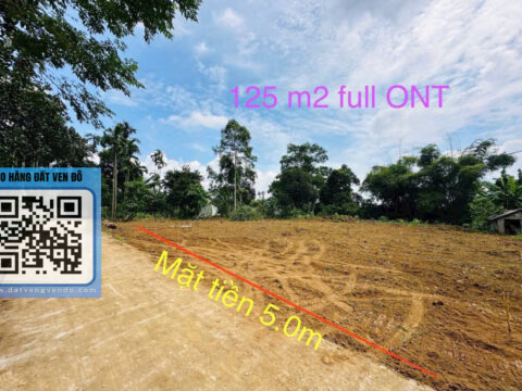 Bán Đất Lương Sơn Hòa Bình – Full Thổ Cư – Mặt Tiền 5m – Đường Chính Ô Tô Tránh Nhau   S=125m²