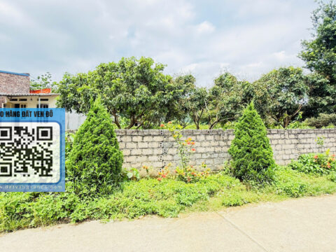 Bán Đất Sấu Thượng Thanh Cao – Kinh Doanh Được – Dân Cư Đông Đúc     S=121,7m²