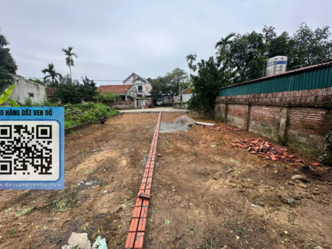 Bán Đất Đông Sơn Chương Mỹ – Full Thổ Cư – Tách Được 2 Lô – Đường 6m Ô Tô Tránh!  S=199m²