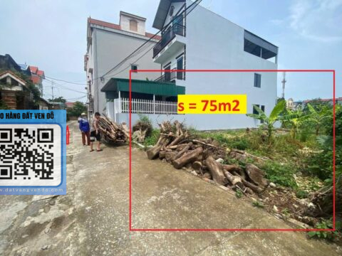 Bán đất nền thổ cư Trung Tiến – Xã Trần Phú – Giá tốt S=75m2