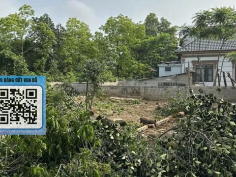 Bán Đất Đông Sơn Chương Mỹ – Vuông Vắn – Sổ Đỏ Chính Chủ   S=292m²