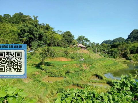 Bán Đất View Hồ Ngổ Luông Tân Lạc – (200m² Thổ Cư) – Sổ Đỏ Chính Chủ!   S=1118m²