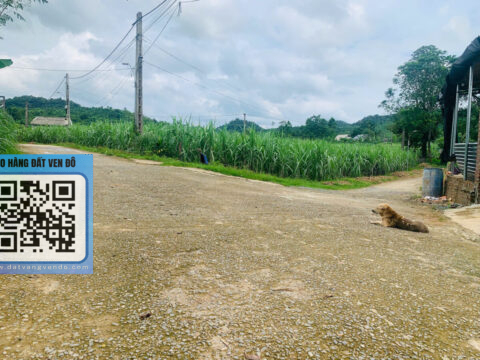 Bán Đất Lô Góc Mỹ Hòa Tân Lạc – (400m² Thổ Cư) – 2 Mặt Tiền – Sổ Hồng Sẵn!   S=1128m²