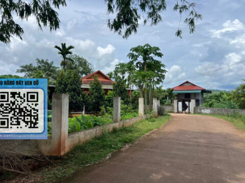 Bán Đất Tử Nê Tân Lạc Phú Thọ – Bám Ao – Đường 3 Ô Tô Tránh – Dân Cư Giàu Có   Lk1=100m²