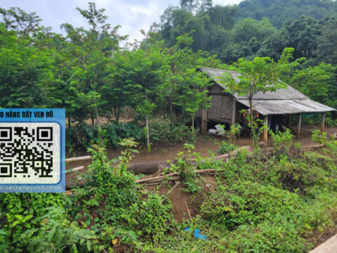 Bán Đất Đa Phúc Yên Thủy – (1.053m² Thổ Cư) – Mặt Tiền 25m – Đường Bê Tông Thoáng!  S=1.260m²