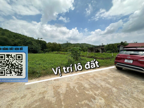 Bán Đất Lạc Hưng Yên Thủy – Full Thổ Cư – Gần Đường Hồ Chí Minh – Ô Tô Vào Tận Nơi!  S=241m²