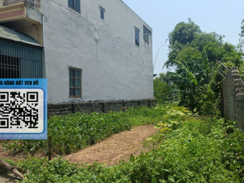 Bán Đất Xuy Xá Mỹ Đức – Siêu Phẩm Hiếm – View Hồ Thoáng – Ngõ Thông Ô Tô Tránh   S=199,4m²