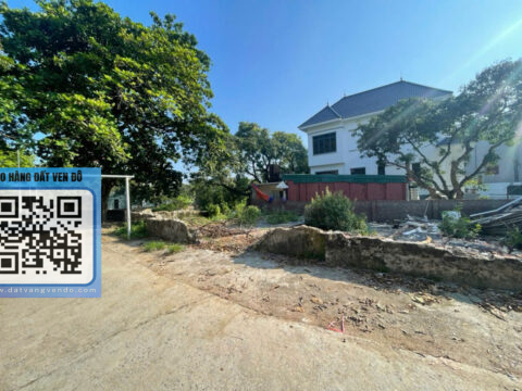 Bán lô đất đẹp Phụng Châu – Giá rẻ nhất khu vực – S=40m ( T1 )