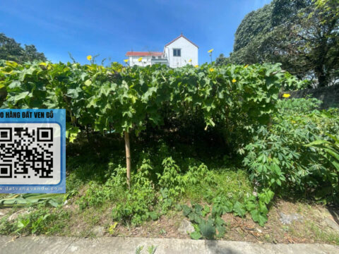 BÁN LÔ ĐẤT NỀN PHƯỢNG NGHĨA PHỤNG CHÂU – KHU DÂN CƯ ĐÔNG – S=52m2