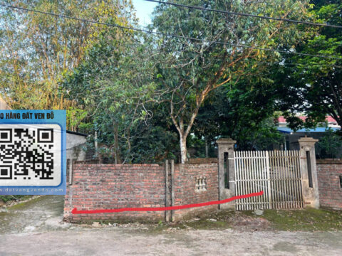 BÁN LÔ ĐẤT ĐẸP TRUNG TÂM PHỐ BÃI NAI – TP HOÀ BÌNH S=148,2M2