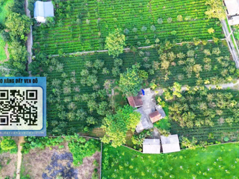 BÁN ĐẤT NGHỈ DƯỠNG TẠI LIÊN SƠN – LƯƠNG SƠN – HÒA BÌNH – S=3516M