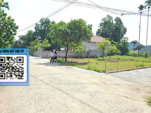 BÁN ĐẤT SÁT KHU CÔNG NGHIỆP NAM LƯƠNG SƠN S=103M