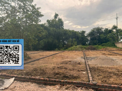 BÁN ĐẤT THỔ CƯ XÃ XUÂN MAI – FULL THỔ CƯ – GIÁ TỐT – S = 93,2m²