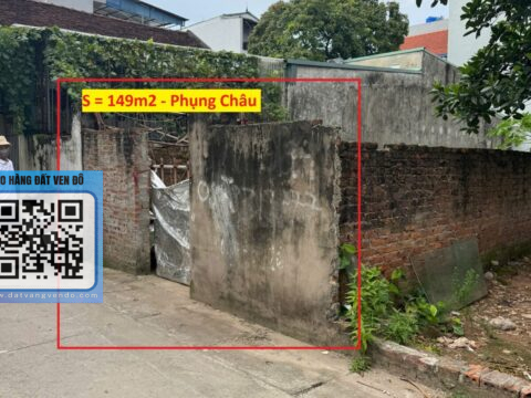 Bán đất thổ cư Phụng Châu – Vị trí đẹp, giá tốt – S= 149m²