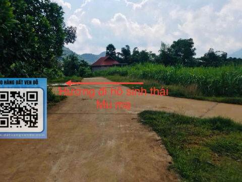 BÁN ĐẤT YÊN NGHIỆP LẠC SƠN HÒA BÌNH LÔ GÓC VIEW THOÁNG  – S=2626m² 