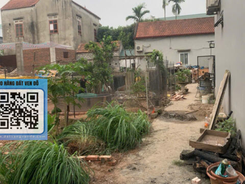 Bán đất thổ cư Phụng Châu – Khu dân cư đông – Giá tốt – S=46,6m²