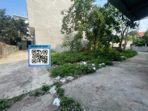 Bán đất thổ cư Phú Nghĩa – Vị trí đẹp, giá tốt S=103,5m2