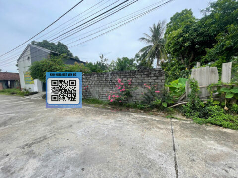 BÁN ĐẤT THỔ CƯ TRẦN PHÚ CHƯƠNG MỸ – CÓ SẴN NHÀ CẤP 4 – S=453m²