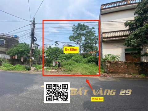 BÁN ĐẤT NỀN LONG CHÂU PHỤNG CHÂU – CHƯƠNG MỸ – Vị trí đẹp – Giá tốt