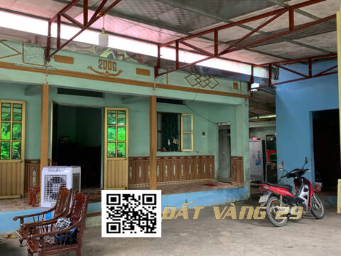 Bán Siêu phẩm đất đẹp Trung tâm Chợ Cá, Xuân Mai, Hà Nội – Giá Tốt