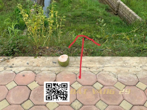 Bán đất Hoàng Văn Thụ Chương Mỹ Hà Nội | 100m² full thổ cư – Đất vuông vắn, trục chính Đê La Thành