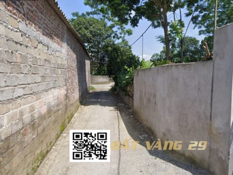 Bán Đất Phân Lô Xã Trần phú – Tiềm năng sinh lời cao Lk5