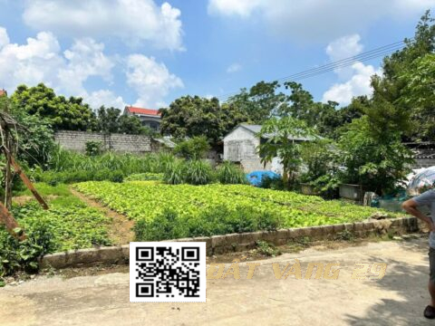 Chính chủ bán đất thủy xuân tiên 3 lô đất đẹp – giá cực tốt