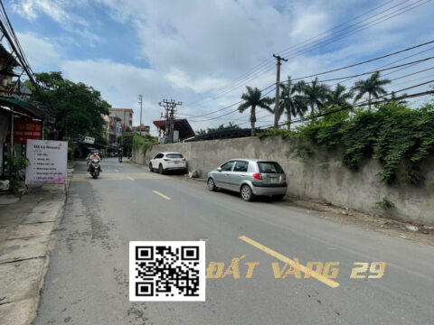 Bán đất nền Phượng Đồng Phụng Châu – Khu dân cư đông – Giá tốt 