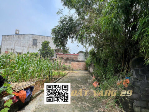 Bán đất thổ cư Tân Xuân Xã Xuân Mai – Chương Mỹ – Dân cư đông – Giá tốt S=65.9m