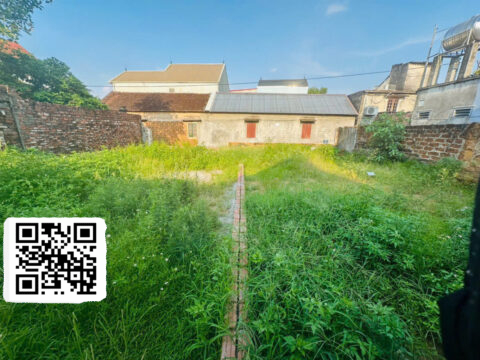 Bán đất thổ cư Trường Yên Chương Mỹ , Khu dân cư đông, vị trí đẹp, giá rẻ ( T2 ) S=94,6m